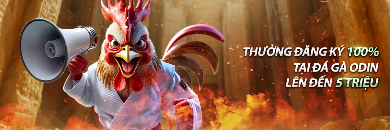 Đăng ký bj66 đá gà để tham gia đấu trường đá gà trực tuyến sôi động