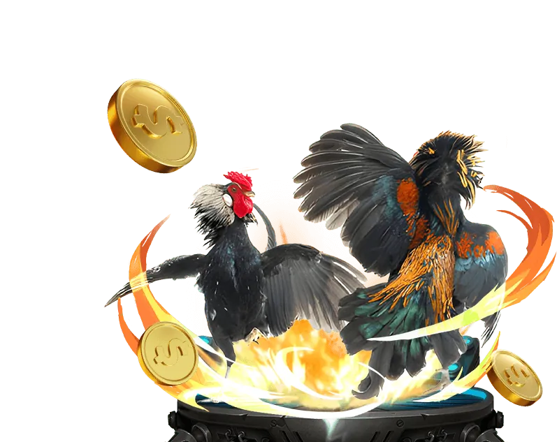 Cam kết dịch vụ khách hàng bj66